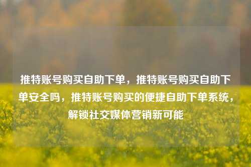 推特账号购买自助下单，推特账号购买自助下单安全吗，推特账号购买的便捷自助下单系统，解锁社交媒体营销新可能