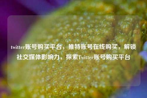 twitter账号购买平台，推特账号在线购买，解锁社交媒体影响力，探索Twitter账号购买平台