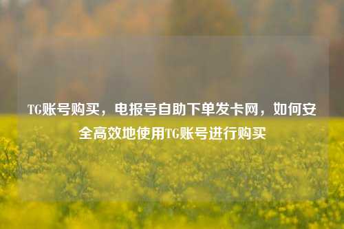 TG账号购买，电报号自助下单发卡网，如何安全高效地使用TG账号进行购买