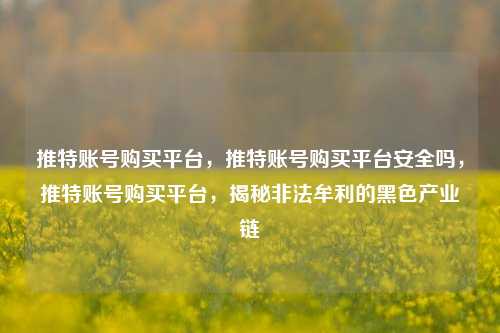 推特账号购买平台，推特账号购买平台安全吗，推特账号购买平台，揭秘非法牟利的黑色产业链