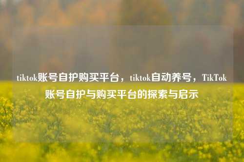 tiktok账号自护购买平台，tiktok自动养号	，TikTok账号自护与购买平台的探索与启示  第1张