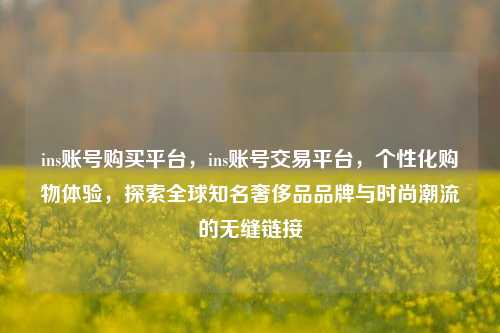 ins账号购买平台，ins账号交易平台，个性化购物体验，探索全球知名奢侈品品牌与时尚潮流的无缝链接