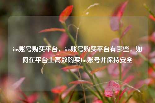 ins账号购买平台，ins账号购买平台有哪些，如何在平台上高效购买Ins账号并保持安全