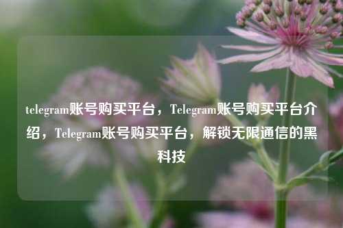 telegram账号购买平台，Telegram账号购买平台介绍，Telegram账号购买平台，解锁无限通信的黑科技