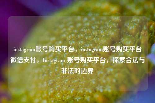 instagram账号购买平台，instagram账号购买平台微信支付，Instagram 账号购买平台，探索合法与非法的边界