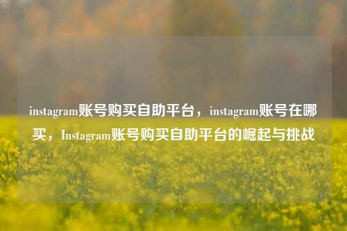 instagram账号购买自助平台，instagram账号在哪买，Instagram账号购买自助平台的崛起与挑战