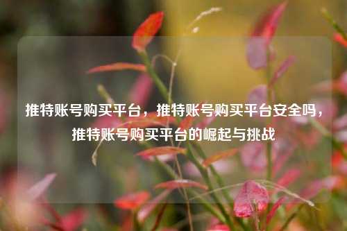 推特账号购买平台，推特账号购买平台安全吗，推特账号购买平台的崛起与挑战  第1张