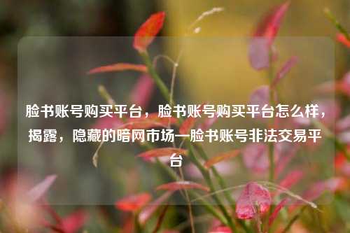 脸书账号购买平台，脸书账号购买平台怎么样，揭露，隐藏的暗网市场—脸书账号非法交易平台