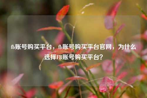 fb账号购买平台，fb账号购买平台官网，为什么选择FB账号购买平台？
