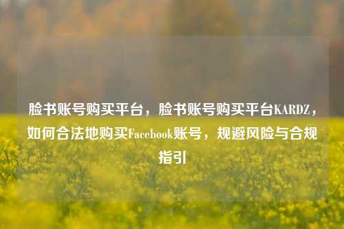 脸书账号购买平台，脸书账号购买平台KARDZ，如何合法地购买Facebook账号，规避风险与合规指引