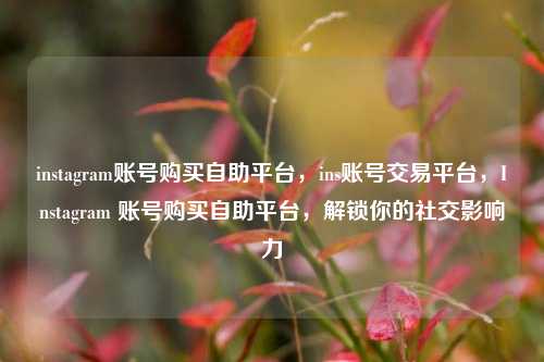 instagram账号购买自助平台，ins账号交易平台，Instagram 账号购买自助平台，解锁你的社交影响力
