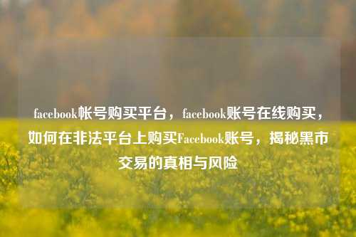 facebook帐号购买平台，facebook账号在线购买，如何在非法平台上购买Facebook账号，揭秘黑市交易的真相与风险