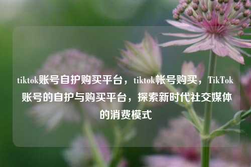 tiktok账号自护购买平台，tiktok帐号购买，TikTok 账号的自护与购买平台，探索新时代社交媒体的消费模式