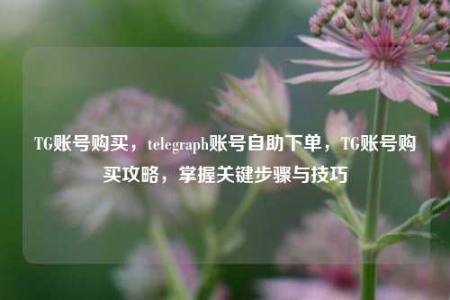 TG账号购买，telegraph账号自助下单，TG账号购买攻略，掌握关键步骤与技巧