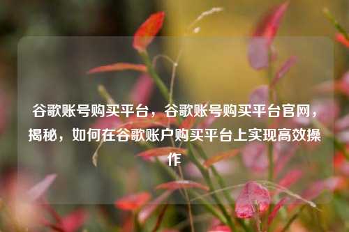 谷歌账号购买平台，谷歌账号购买平台官网，揭秘，如何在谷歌账户购买平台上实现高效操作