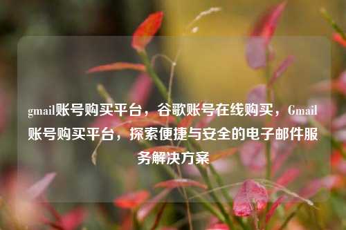 gmail账号购买平台，谷歌账号在线购买	，Gmail账号购买平台，探索便捷与安全的电子邮件服务解决方案  第1张
