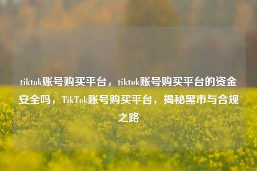 tiktok账号购买平台，tiktok账号购买平台的资金安全吗，TikTok账号购买平台，揭秘黑市与合规之路