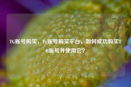 TG账号购买，Tg账号购买平台，如何成功购买TG账号并使用它？
