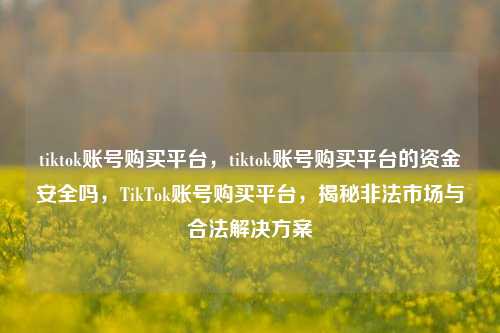 tiktok账号购买平台，tiktok账号购买平台的资金安全吗，TikTok账号购买平台，揭秘非法市场与合法解决方案