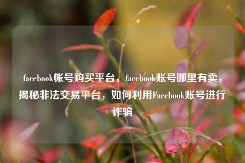 facebook帐号购买平台，facebook账号哪里有卖，揭秘非法交易平台，如何利用Facebook账号进行诈骗