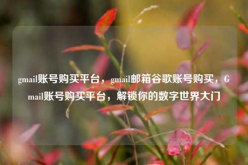 gmail账号购买平台，gmail邮箱谷歌账号购买，Gmail账号购买平台，解锁你的数字世界大门