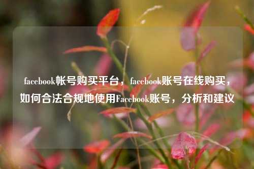 facebook帐号购买平台，facebook账号在线购买，如何合法合规地使用Facebook账号，分析和建议