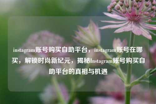 instagram账号购买自助平台，instagram账号在哪买，解锁时尚新纪元，揭秘Instagram账号购买自助平台的真相与机遇