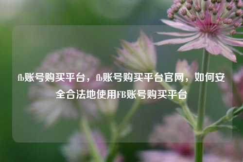 fb账号购买平台，fb账号购买平台官网，如何安全合法地使用FB账号购买平台