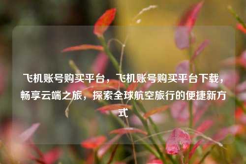 飞机账号购买平台，飞机账号购买平台下载，畅享云端之旅，探索全球航空旅行的便捷新方式
