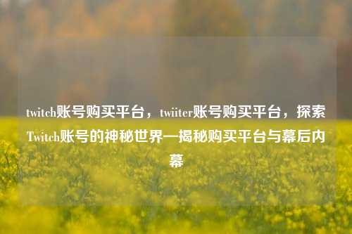 twitch账号购买平台，twiiter账号购买平台，探索Twitch账号的神秘世界—揭秘购买平台与幕后内幕