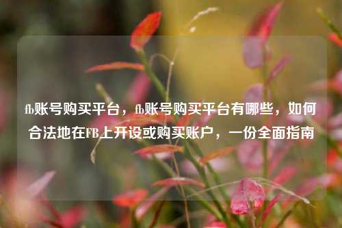 fb账号购买平台，fb账号购买平台有哪些，如何合法地在FB上开设或购买账户，一份全面指南