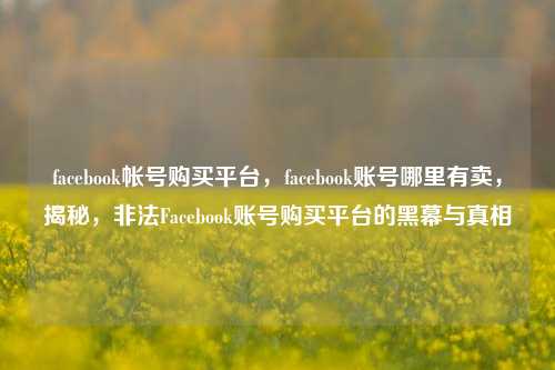 facebook帐号购买平台，facebook账号哪里有卖，揭秘，非法Facebook账号购买平台的黑幕与真相