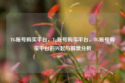 TG账号购买平台，Tg账号购买平台，TG账号购买平台的兴起与前景分析