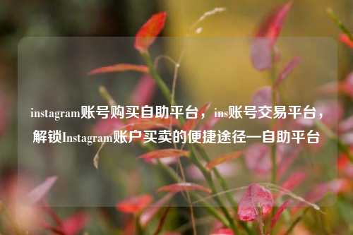 instagram账号购买自助平台，ins账号交易平台，解锁Instagram账户买卖的便捷途径—自助平台