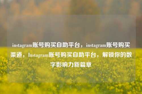 instagram账号购买自助平台，instagram账号购买渠道，Instagram账号购买自助平台，解锁你的数字影响力新篇章