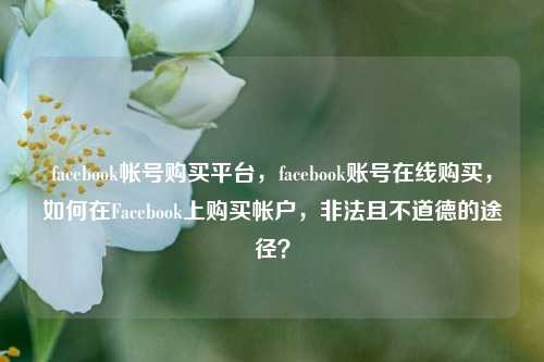 facebook帐号购买平台，facebook账号在线购买，如何在Facebook上购买帐户，非法且不道德的途径？