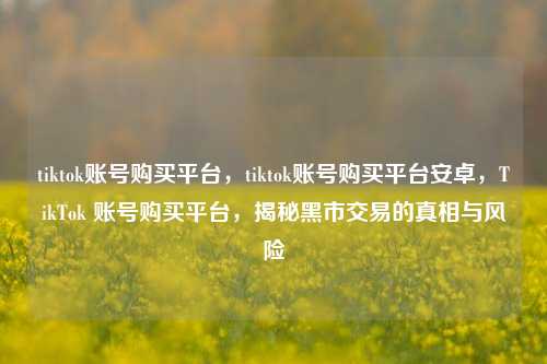 tiktok账号购买平台，tiktok账号购买平台安卓，TikTok 账号购买平台，揭秘黑市交易的真相与风险