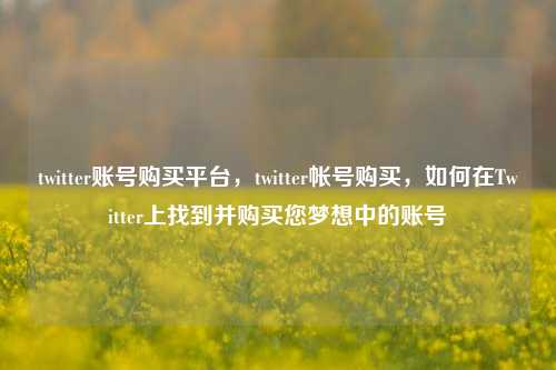 twitter账号购买平台，twitter帐号购买，如何在Twitter上找到并购买您梦想中的账号