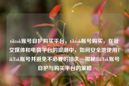 tiktok账号自护购买平台，tiktok帐号购买，在社交媒体和电商平台的浪潮中，如何安全地使用TikTok账号并避免不必要的损失—揭秘TikTok账号自护与购买平台的策略