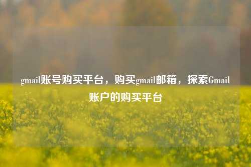 gmail账号购买平台，购买gmail邮箱，探索Gmail账户的购买平台
