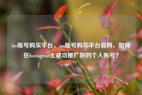 ins账号购买平台，ins账号购买平台官网，如何在Instagram上成功推广你的个人账号？