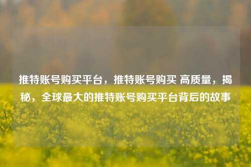 推特账号购买平台，推特账号购买 高质量，揭秘，全球最大的推特账号购买平台背后的故事