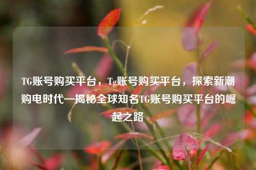 TG账号购买平台，Tg账号购买平台，探索新潮购电时代—揭秘全球知名TG账号购买平台的崛起之路