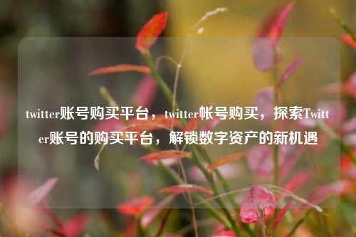 twitter账号购买平台，twitter帐号购买，探索Twitter账号的购买平台，解锁数字资产的新机遇