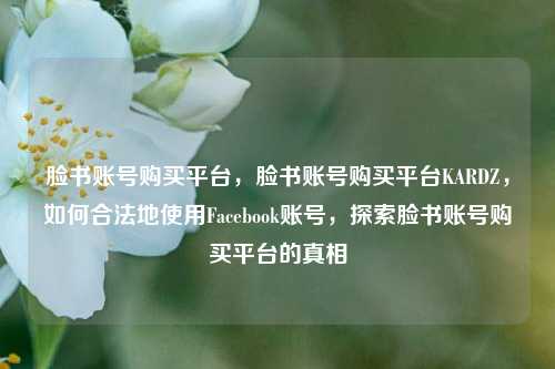 脸书账号购买平台，脸书账号购买平台KARDZ，如何合法地使用Facebook账号，探索脸书账号购买平台的真相
