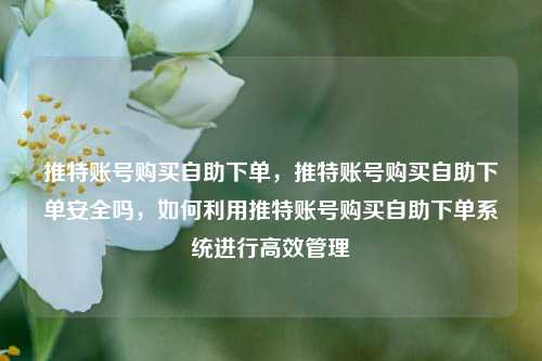 推特账号购买自助下单，推特账号购买自助下单安全吗，如何利用推特账号购买自助下单系统进行高效管理