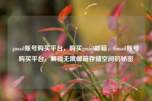 gmail账号购买平台，购买gmail邮箱，Gmail账号购买平台，解锁无限邮箱存储空间的秘密