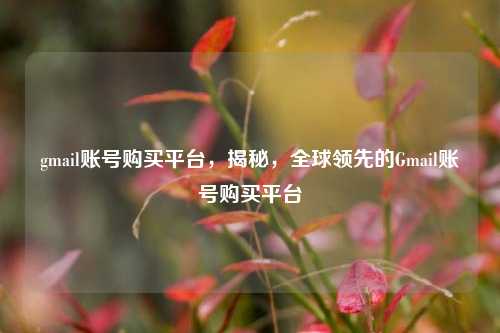 gmail账号购买平台，揭秘，全球领先的Gmail账号购买平台