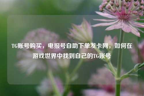 TG账号购买，电报号自助下单发卡网，如何在游戏世界中找到自己的TG账号