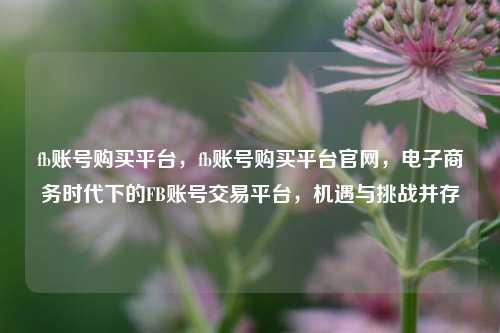 fb账号购买平台，fb账号购买平台官网，电子商务时代下的FB账号交易平台，机遇与挑战并存